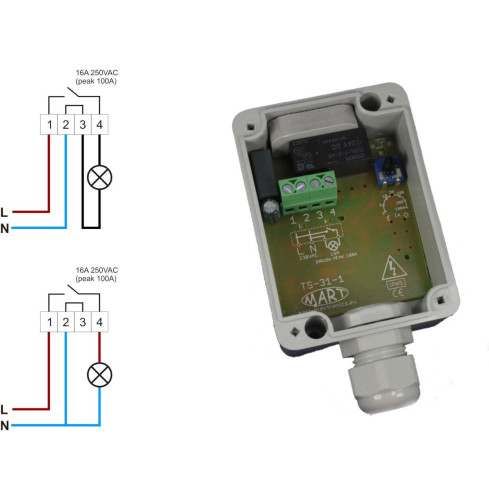Automat Zmierzchowy TS-31-1