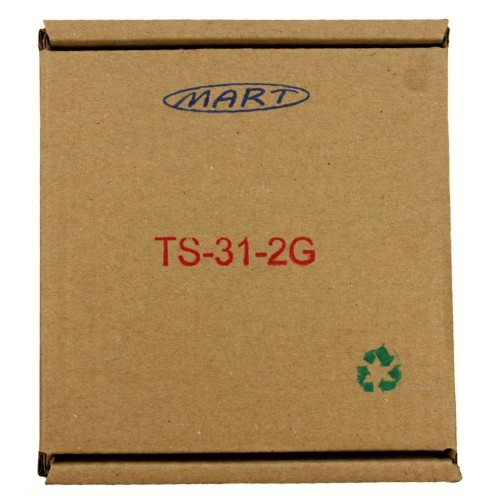 Automat Zmierzchowy TS-31-2-G GALWANICZNY